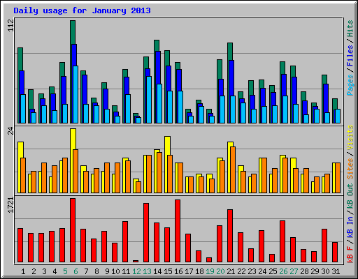 Daily usage for January 2013