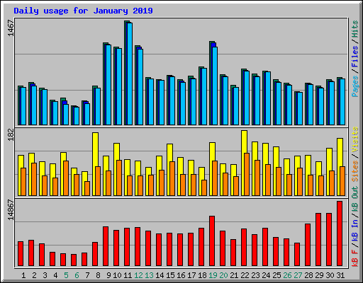 Daily usage for January 2019