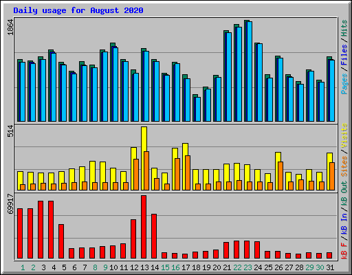 Daily usage for August 2020