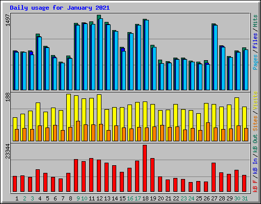 Daily usage for January 2021