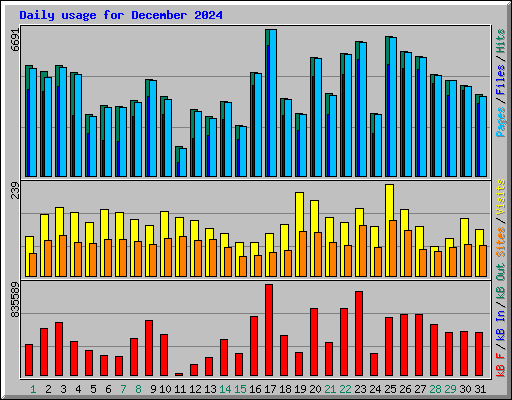 Daily usage for December 2024