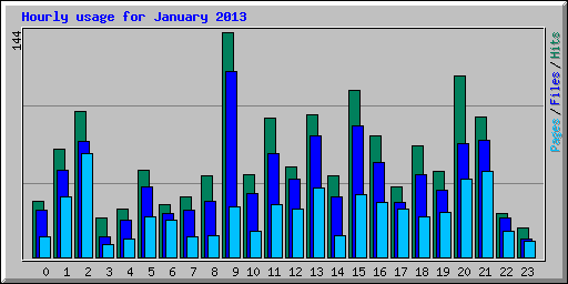 Hourly usage for January 2013