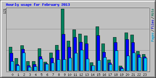 Hourly usage for February 2013