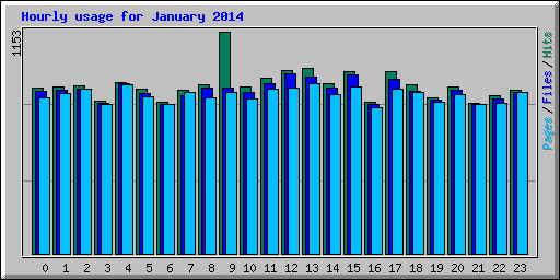 Hourly usage for January 2014
