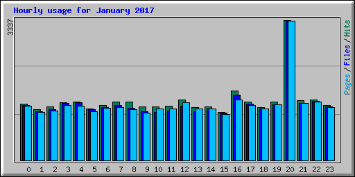 Hourly usage for January 2017