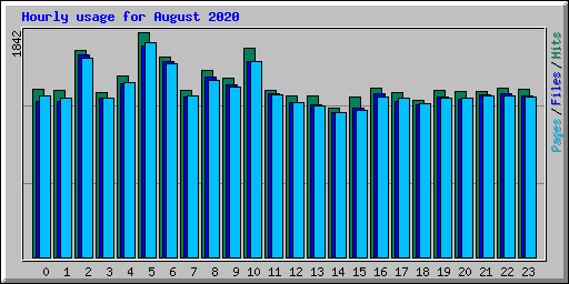 Hourly usage for August 2020