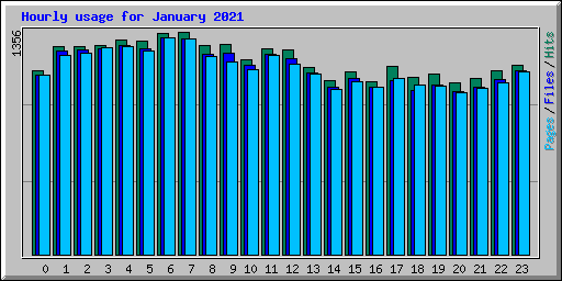 Hourly usage for January 2021