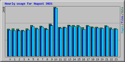 Hourly usage for August 2021