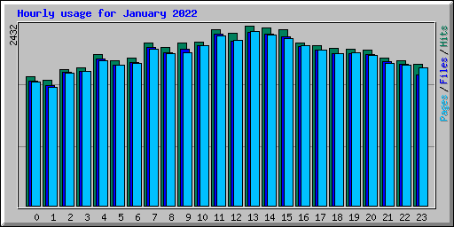 Hourly usage for January 2022
