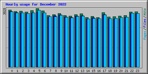 Hourly usage for December 2022