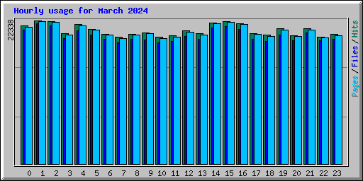 Hourly usage for March 2024