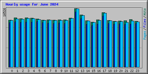 Hourly usage for June 2024