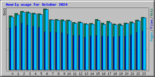 Hourly usage for October 2024