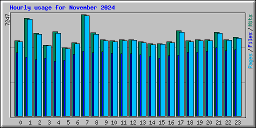 Hourly usage for November 2024