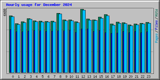 Hourly usage for December 2024