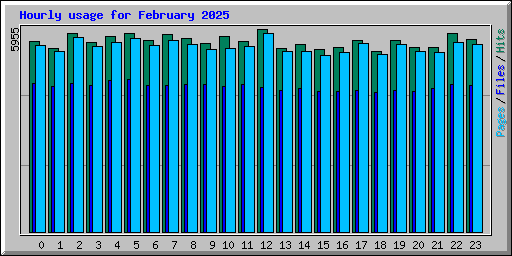 Hourly usage for February 2025