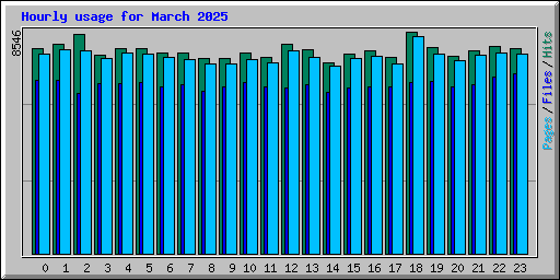 Hourly usage for March 2025