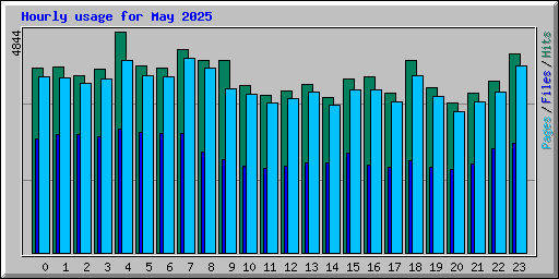 Hourly usage for May 2025
