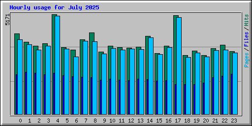 Hourly usage for July 2025