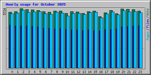Hourly usage for October 2025