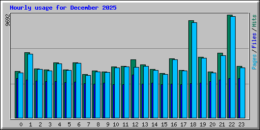 Hourly usage for December 2025