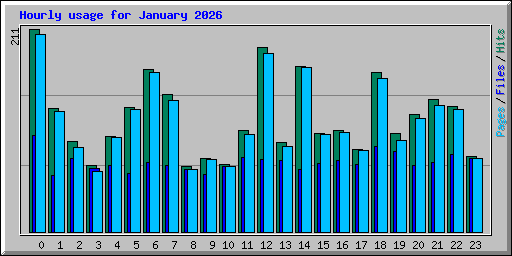 Hourly usage for January 2026