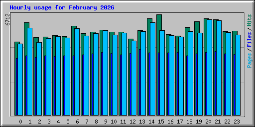 Hourly usage for February 2026