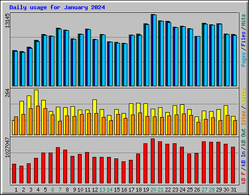 Daily usage for January 2024