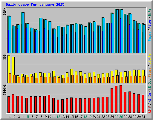 Daily usage for January 2025