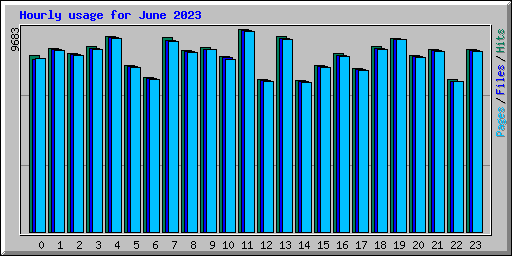 Hourly usage for June 2023