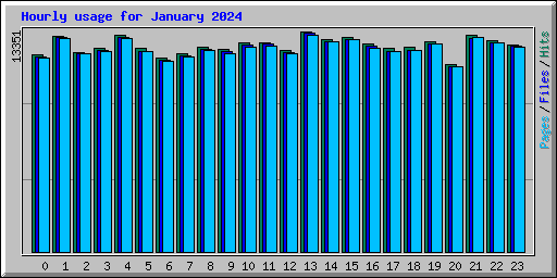 Hourly usage for January 2024