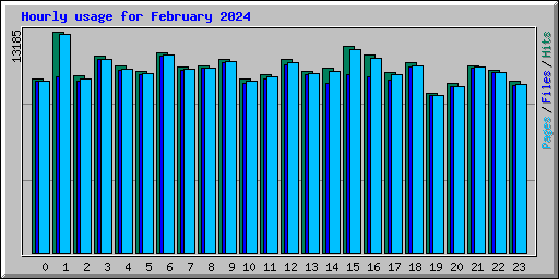Hourly usage for February 2024