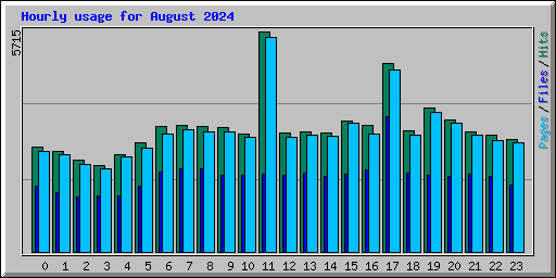 Hourly usage for August 2024