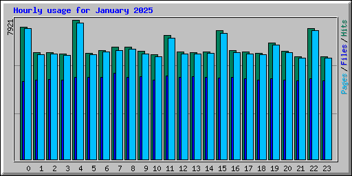 Hourly usage for January 2025