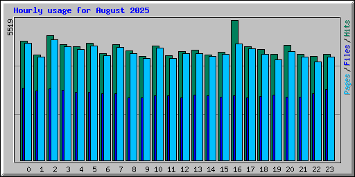 Hourly usage for August 2025