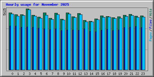 Hourly usage for November 2025